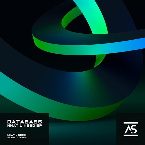 Databass - What U Need [ASR636]